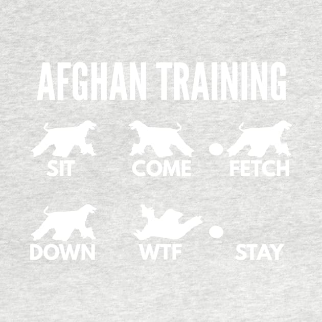 Afghan Hound Training Boxer Dog Tricks by DoggyStyles